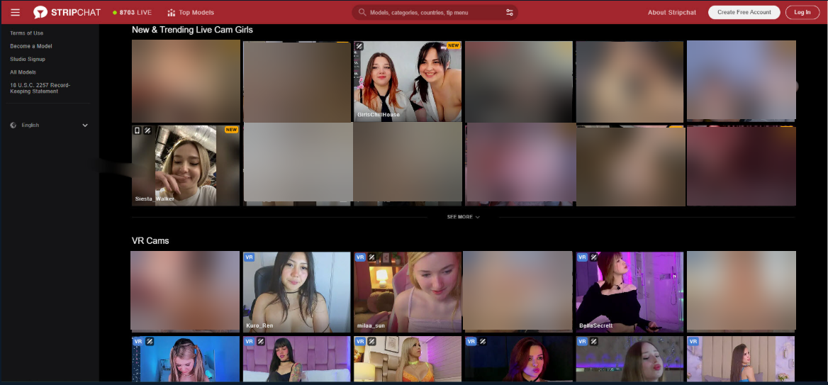 Stripchat Preview